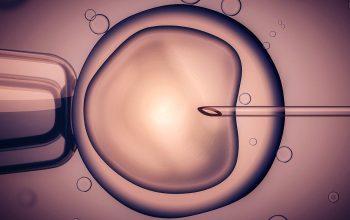 All you need to know about fertility treatments