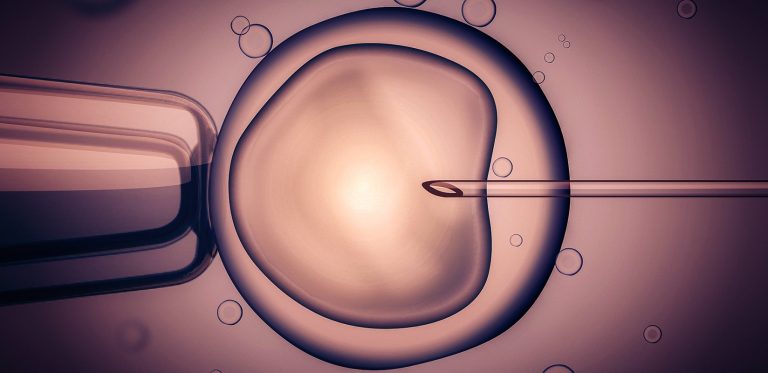 All you need to know about fertility treatments