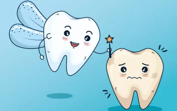 Exploring the Connection Between Jaw Health and Orthodontic Success