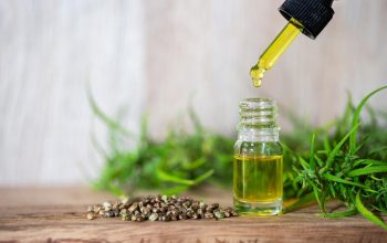 CBD Oil